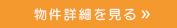 詳細を見る